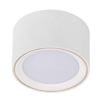 Fallon Surface Mounted Dimmable Downlights