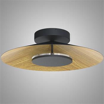 Orion Large Black LED Wall or Ceiling Light