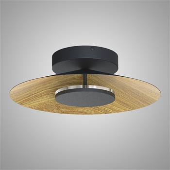 Orion Medium Black LED Light 