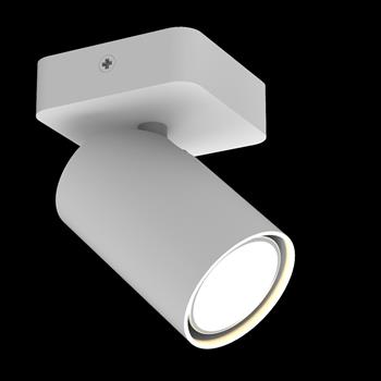 Sal Single Adjustable Ceiling Spotlight