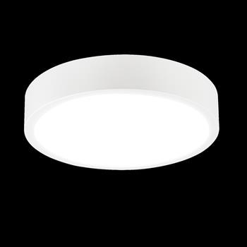 Saona Large Round White LED Flush Light