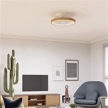 Tibet Mini LED Flush Mounted CCT Reversible Ceiling Fan Light