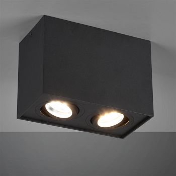 Biscuit Double Ceiling Spotlights