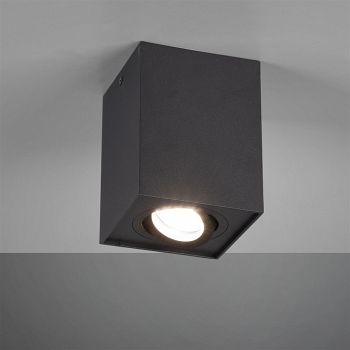 Biscuit Single Ceiling Spotlights