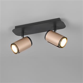 Gillan Two Light Ceiling Spots