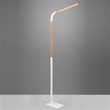 Norris LED Floor Lamps