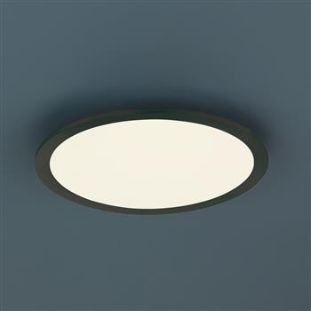 Phoenix Small Round Flush LED Light