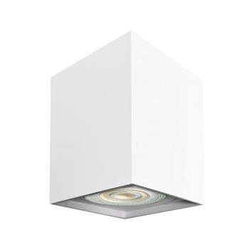 Bima Rectangular Ceiling Mounted Spotlight