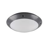 Camaro IP54 260mm Outdoor Anthracite Ceiling Flush Fitting R60501042