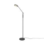 Franklin LED Anthracite Adjustable Arm Floor Lamp 426510142