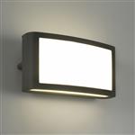 Zenitha IP54 Outdoor Black LED Wall Light PX-0649-NEG