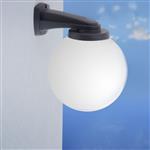 Nardo Opal Globe IP55 Black Resin Wall Light NARDO/G250BLOP